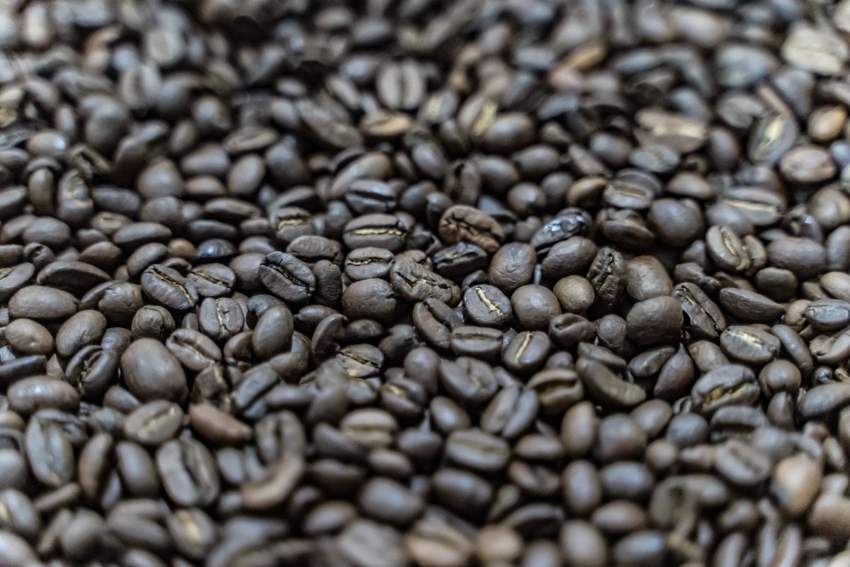 Nicaraguan coffee beans maduro roast
